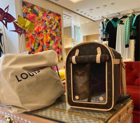 Inspired LV Animal Carrier